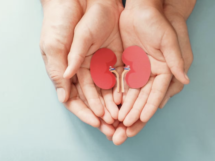 Trasplante renal y prevención, claves ante el crecimiento de la enfermedad renal